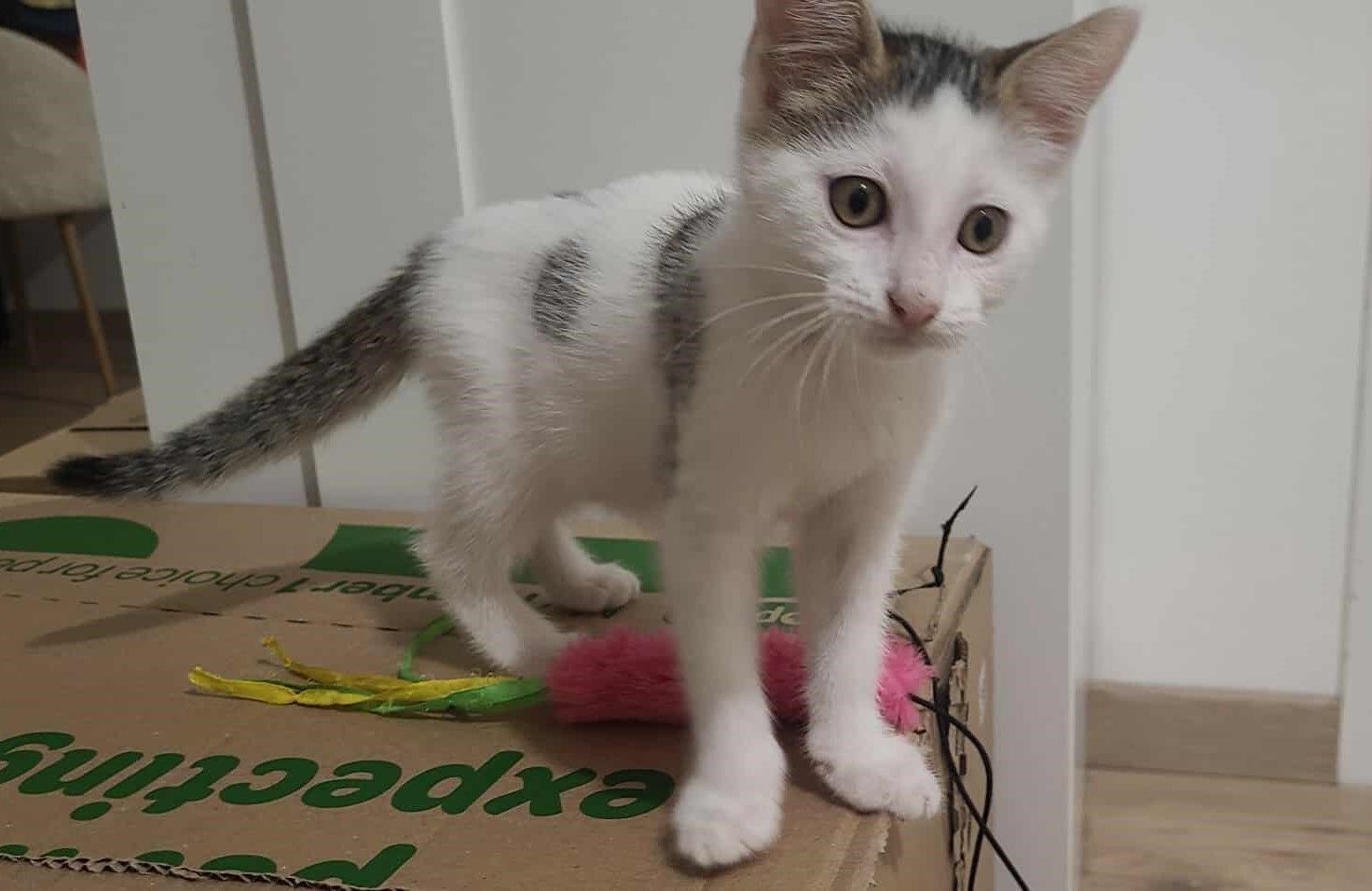 AIDA